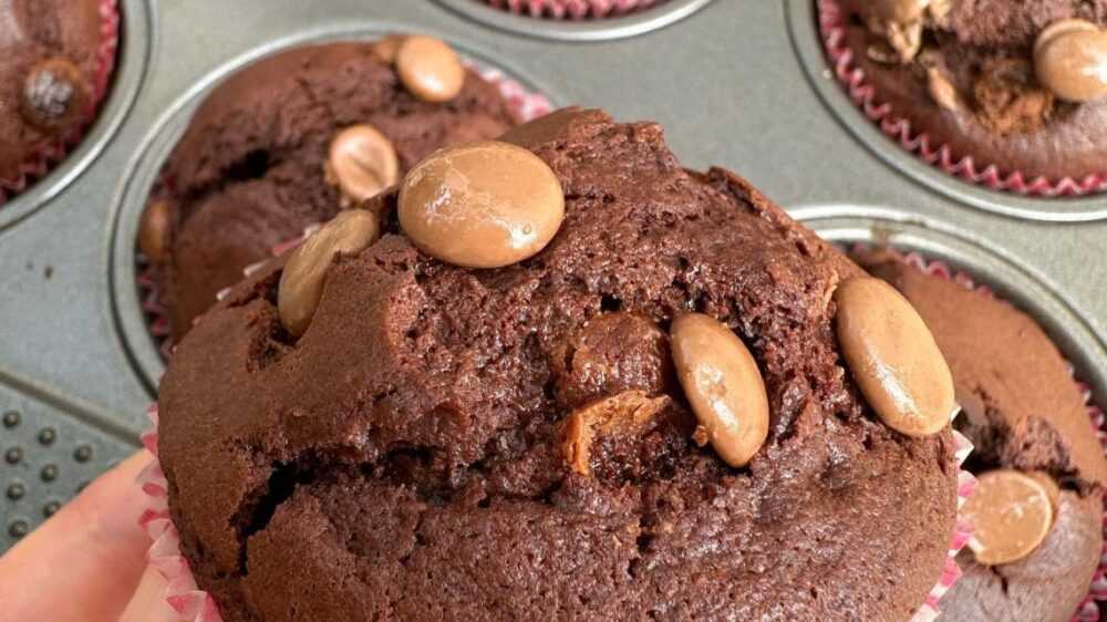 Chocolate Muffins Chocolate Muffins